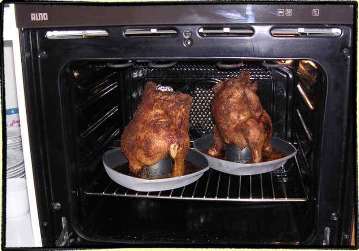 chick5.jpg (74594 Byte)