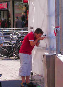 wjt4.JPG (27299 Byte)